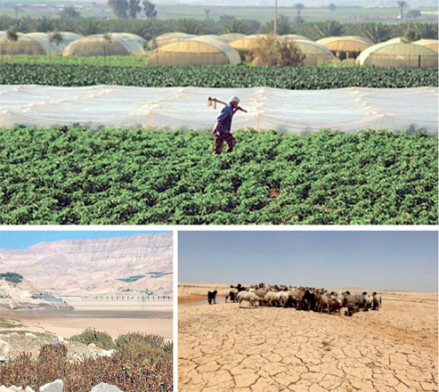This combo of photos shows greenhouses on a farm, a nearly empty dam  and a flock of sheep on parched land (Al Rai photos)