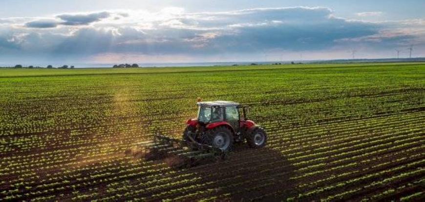 The Department of Statistics says that Jordan’s agricultural sector demonstrated economic growth, contributing 6.9 percent to the national economy last year (JT file)