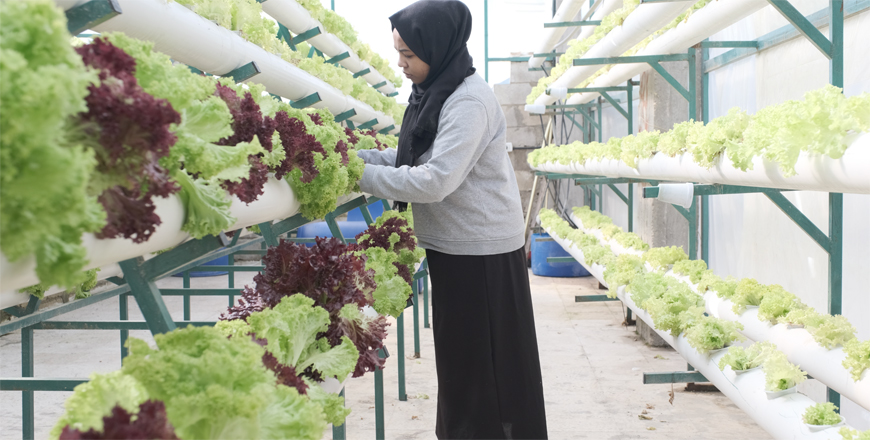A beneficiary of the UNICEF-supported Sennara green rooftops project is seen tending to crops in Jerash camp in this image grab from a video (Photo by Anna Rice)