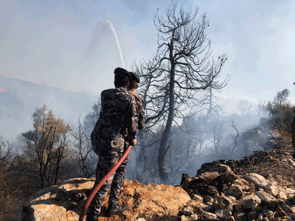 Firefighters try to extinguish a wildfire in the Safsafa area in Ajloun on Saturday  (Petra photo)