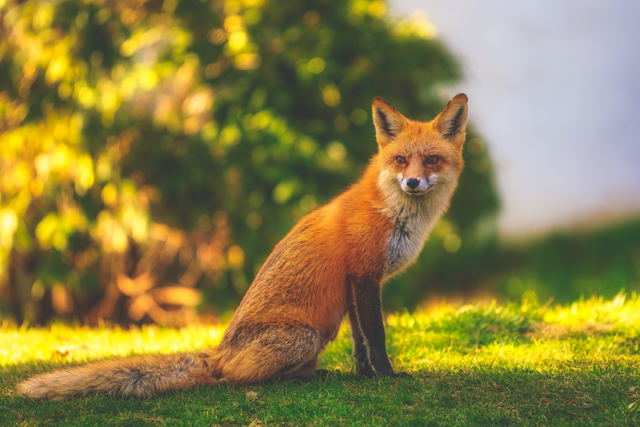 Representative image (Photo courtesy of unsplash/ Charles Jackson)