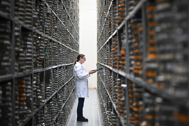 Kirsty Shanks, Film Conservation Specialist at British Film Institute, poses for a photograph whilst looking at a film can in the storage archives at the British Film Institute (BFI) in Berkhampsted, north of London on October 3 (AFP photo)