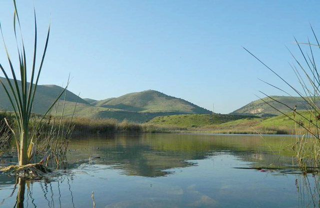 A view of the Yarmouk Nature Reserve, situated in the northwestern parts of Jordan (Photo courtesy of the RSCN)