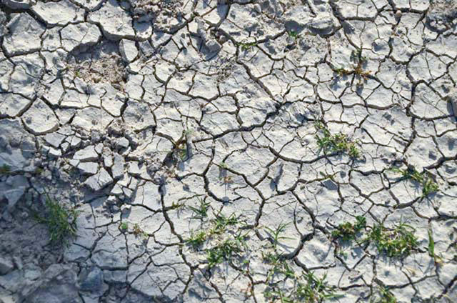 Smart water irrigation systems are needed to confront growing drought risks facing the local agriculture sector, according to Jordanian farmers (File photo)