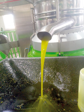 The 23rd edition of the National Olive Festival and Rural Products Exhibition is set to kick off on Thursday at the Jordanian Exhibition Centre in Mecca Mall (Photo courtesy of NARC)