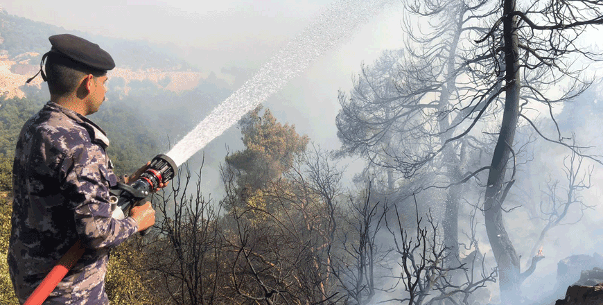 A firefighter tries to extinguish a wildfire in the Safsafa area in Ajloun on July 14 (Petra photo)