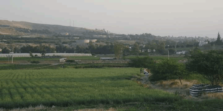 Jordan Valley farmers are calling on authorities to postpone agricultural loan installments due to mounting losses, which have accrued over the course of the last several agricultural seasons (Photo courtesy of Jordan Valley Farmers Union)