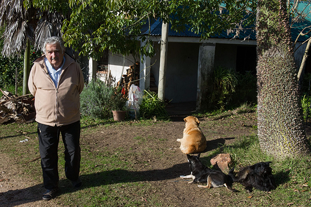 Uruguayan president Jose Mujica gestures during an interview with Agence France-Presse at his house, on the outskirts of Montevideo on July 9, 2014 (AFP photo)