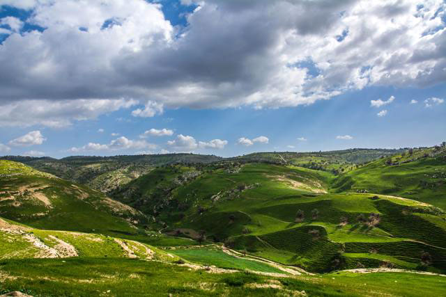 The UNEP Regional Office for West Asia launched an online challenge on the occasion of World Environment Day that witnessed the participation of several NGOs and environmental initiatives in Jordan (JT file photo)