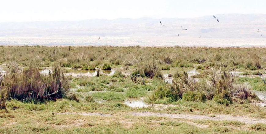 The Fifa Natural Reserve in the Ghour Fifa region (Al Rai photo)