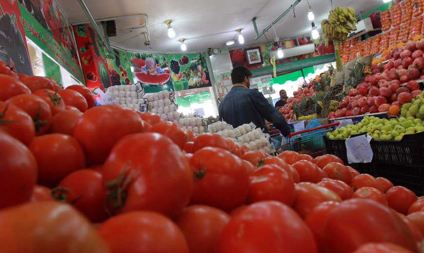 Jordan is among the top 10 world countries in terms of producing and exporting tomatoes (JT file photo)