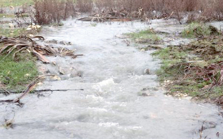 A recent interruption in water supply in Zarqa was due to murky waters that resulted from the last rainfall, according to Assistant CEO at Miyahuna in Zarqa Jreis Dababna (JT file photo)