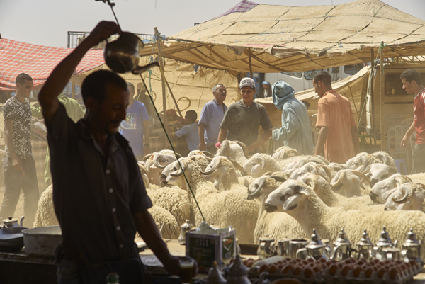 Moroccan pours tea in a cafe under a tent as merchants escort their flock in Lagfaf market before celebrating the Muslim feast of Eid Al Adha at Lagfaf market near Khouribga central Morocco on Wednesday (AP photo)