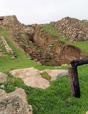 Tell Umayri outside of Amman with what is left on the site's surface, winter 2019 (Photo courtesy of Amy Karoll)