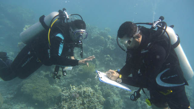 Marine conservationists are rallying support to list the coral reefs in the Gulf of Aqaba as a UNESCO world heritage site (Photo courtesy of JREDS)