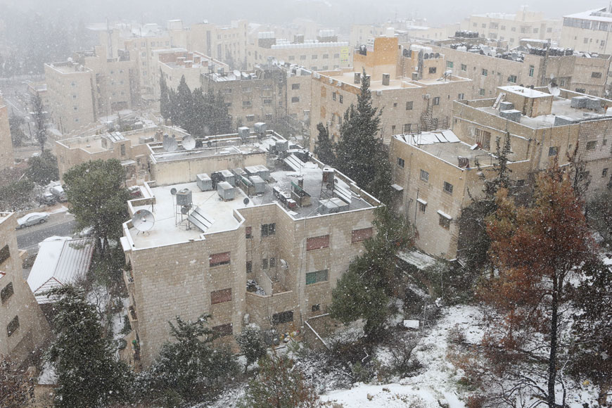 Snow falls on a neighbourhood in Amman on Monday (Photo by Khaled Oudat)