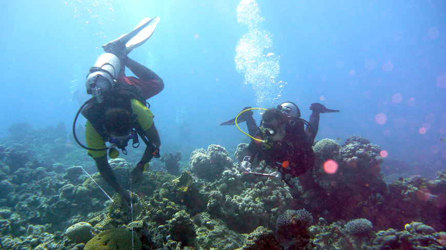 Six women from Aqaba will undergo professional diving training to become the city’s first batch of certified female divers, according to the Royal Marine Conservation Society (Photo courtesy of JREDS)