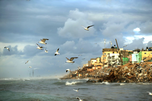 Seagulls fly off the coast of Gaza City on Monday (AFP photo)