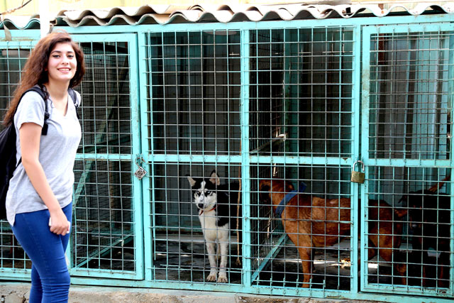 Agricultural college student Assan Attallah, 22, plays with animals at a shelter in the Iraqi capital Baghdad on September 20 (AFP photo)