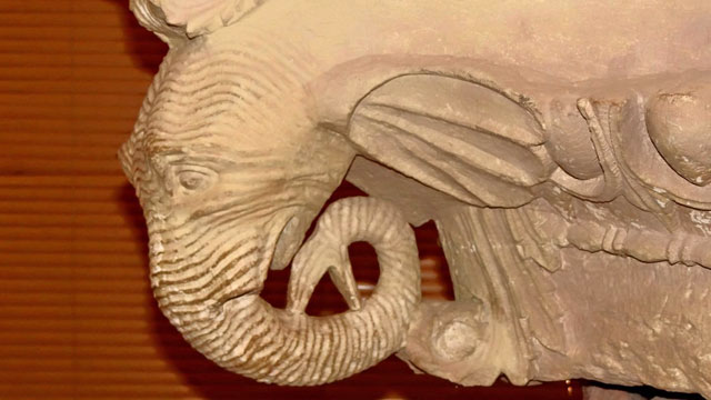  A carving of an elephant at Petra Museum (Photo by Ahmad Bani Mustafa)