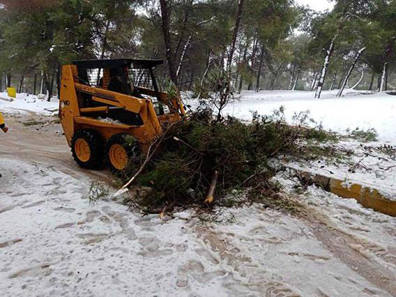 A bulldozer is seen removing fallen tree branches from a street following a snowstorm on  January 27 (Petra file photo)