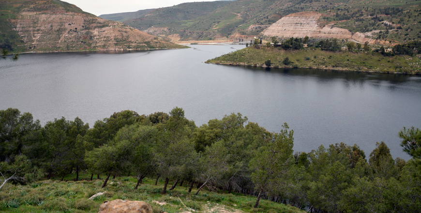 The recent rainfall channelled over 3.5 million cubic metres into the King Talal Dam (Photo by Amjad Ghsoun)
