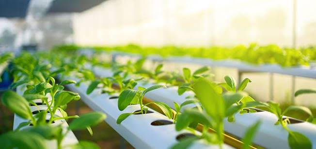 Photo courtesy of EBRD