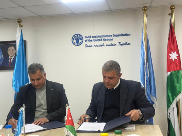 The project aims to promote rainwater harvesting from rooftops of selected government buildings and raise awareness about sustainable water management and climate change (Photo courtesy of FAO in Jordan)