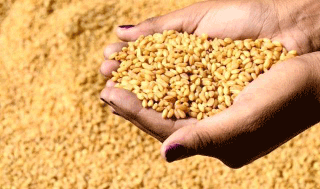 Representative image (Photo courtesy of Agriculture Ministry Facebook page)