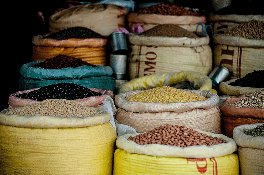 Representative image. Observed annually on February 10, World Pulses Day highlights the ways in which pulses increase farmers’ resilience to climate change and further the 2030 Agenda for Sustainable Development (Photo courtesy of unsplash)