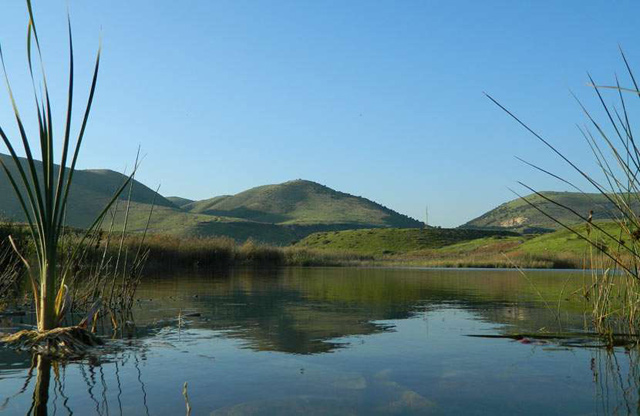 A view of the Yarmouk Nature Reserve, situated in the northwestern parts of Jordan (Photo courtesy of the RSCN)