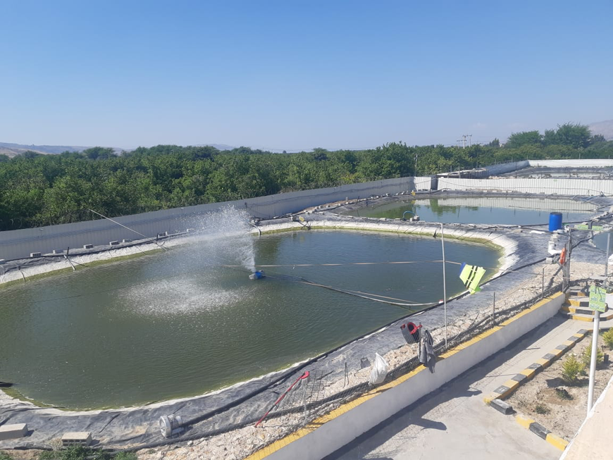A project initiated by the Jordan Agricultural Engineers Association is working to establish an aquaponics farm in the Jordan Valley, which is expected to increase water efficiency and create jobs (Photo courtesy of Ahmad Hammouri)