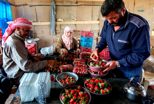 The Organic Ecosystem project aims to improve the organic agro-food sector and its business system by creating new job opportunities while introducing innovative, healthier and more sustainable products to the market (Photo courtesy of ENI CBC Med website)