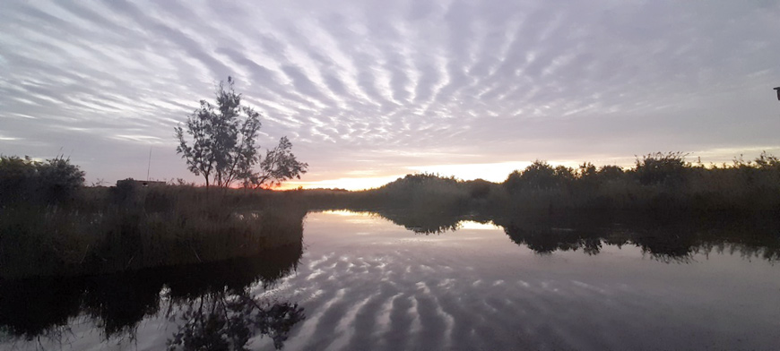 A view of the Azraq Wetland Reserve, located 103 kilometres east of Amman (Photo courtesy of RSCN)