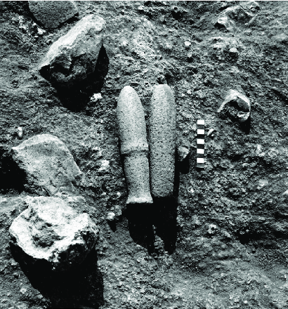 Artefact Cluster 2 from Wadi Hammeh 27, comprising two basalt pestles, one plain and the other decorated with a raised band (Photo of Philip Edwards)