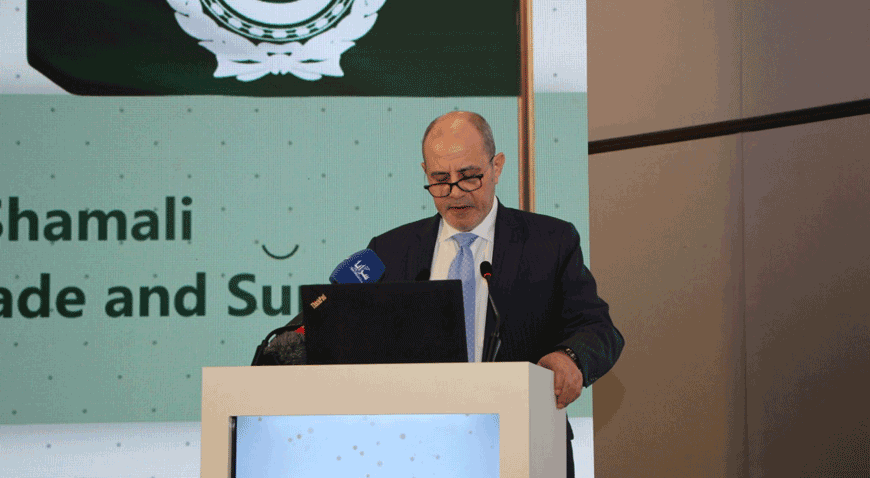 Minister of Industry, Trade and Supply Yousef Shamali speaks during the inauguration of the 25th Arab International Cement Conference and Exhibition on Tuesday  (Petra photo)