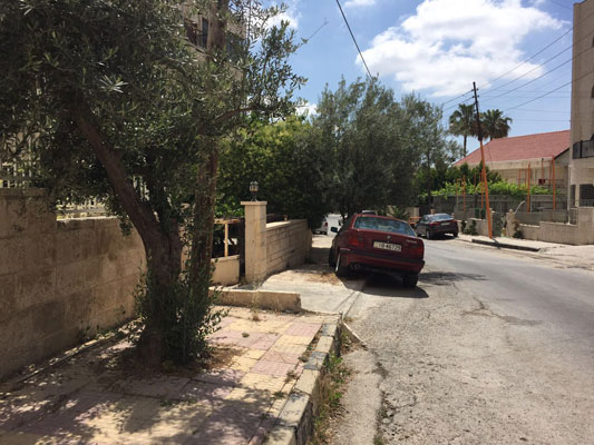 A sidewalk blocked by trees is seen in this photo taken in Tlaa Al Ali area on Thursday (Photo by Omar Obeidat)