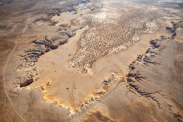Tabbah’s work often plays a crucial role in supporting archaeologists with their research and preservation efforts (Photos by Bashar Tabbah)