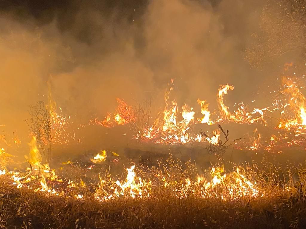 Wildfires that broke out in Yarmouk Nature Reserve on Saturday night caused the loss of forestry and natural resources, according to the Royal Society for the Conservation of Nature (Photo courtesy of RSCN)