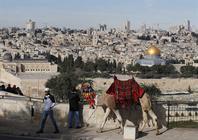   A man walks with a camel to attract tourists on Monday at the Mount of Olives, overlooking Jerusalem's Old City, with its Dome of the Rock Mosque (right) and Al Aqsa Mosque (left) in the centre of the photo (AFP photo)