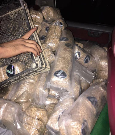 Narcotic pills seized in Aqaba by Anti-Narcotics Department personnel recently (Petra photo)