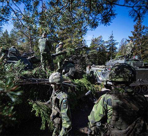 Soldiers of the P18 Gotland Regiment of the Swedish army camouflage their armoured vehicles during a field exercise near Visby on the Swedish island of Gotland on Tuesday (AFP photo)