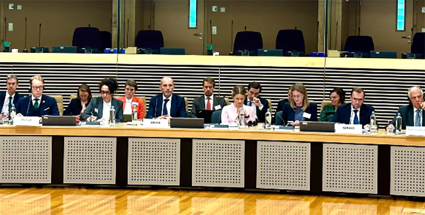 Deputy Prime Minister and Foreign Minister Ayman Safadi on Sunday participates in the International Partners Meeting on Palestine (Photo courtesy of Foreign Ministry)