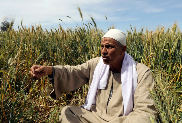 Farmer Mohamed Abdelkhaleq speaks during an interview with Reuters in a field in the Beheira Governorate, north of Cairo, Egypt, on April 4 (Reuters photo)