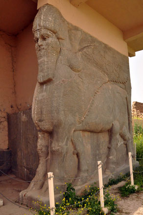 This file photo taken on April 9, 2013, shows an ancient statue of a winged bull with a human face, an indication of strength in the Assyrian civilisation, at the archaeological site of Nimrud that lies on the Tigris River, around 30 kilometres southeast of Mosul, Iraq’s second city (AFP photo)