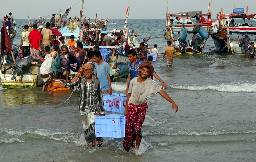 Yemeni fishermen unload their catch from boats as they return from fishing in the Red Sea coastal Khokha district of Yemen's western province of Hodeida on Monday (AFP photo)