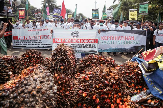 People from an Indonesian oil palm farmers' association carry palm fruits during a protest against the government's export ban policy, in Jakarta, on Tuesday (AFP photo)