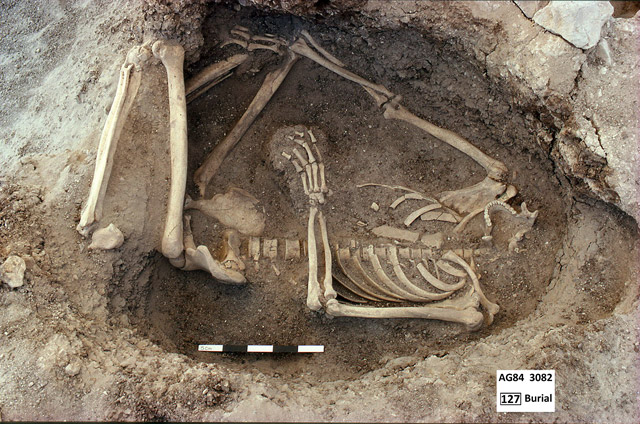 Subfloor burial at Ain Ghazal (Photo courtesy of Gary Rollefson)