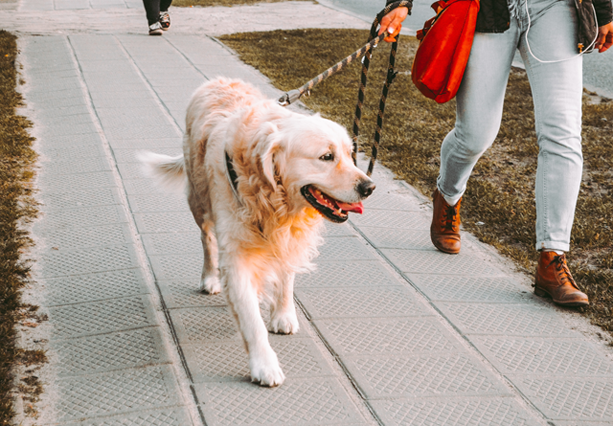 Representative image (Photo courtesy of unsplash/Andriyko Podilnyk)