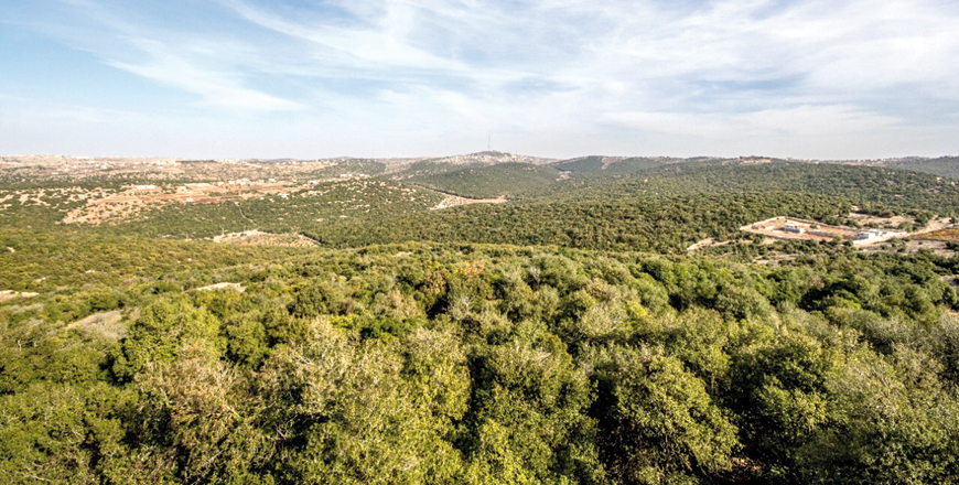 The Global Land Forum 2022 will kick off on May 21 at the Ajloun Forest Reserve, according to organisers (Photo courtesy of RSCN)